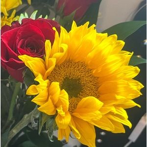 Meet your Posher, Viola